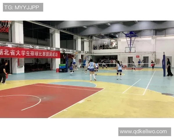 武汉排球队的盯防革新探索与实践全景解析