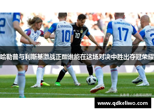 哈勒普与利斯基激战正酣谁能在这场对决中胜出夺冠荣耀
