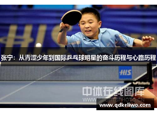 张宁：从青涩少年到国际乒乓球明星的奋斗历程与心路历程